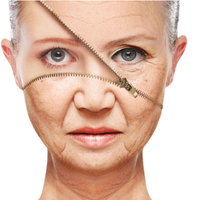 Screenshot-2022-10-24-201049-Copy